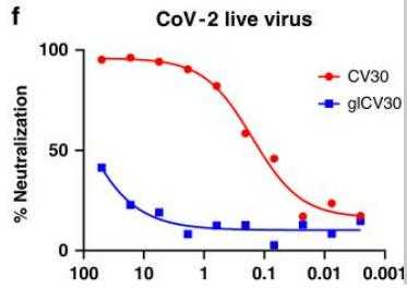 NeutraAb™ Mouse Anti-SARS-CoV-2 Spike RBD monoclonal antibody, clone ...