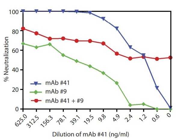 NeutraAb™ Human Anti-Rotavirus VP4 monoclonal antibody, clone 41 ...