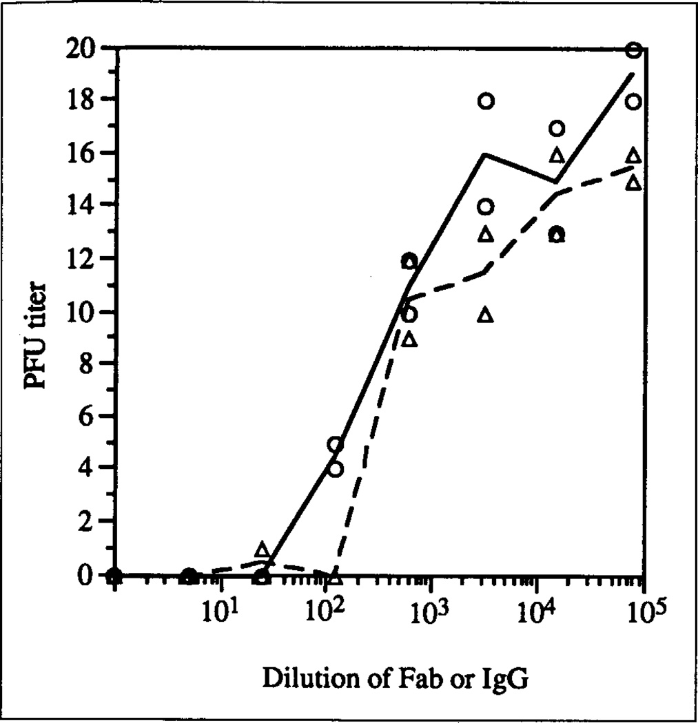 NeutraAb™ Rabbit Anti-CPV Capsid Protein Monoclonal Antibody, clone ...