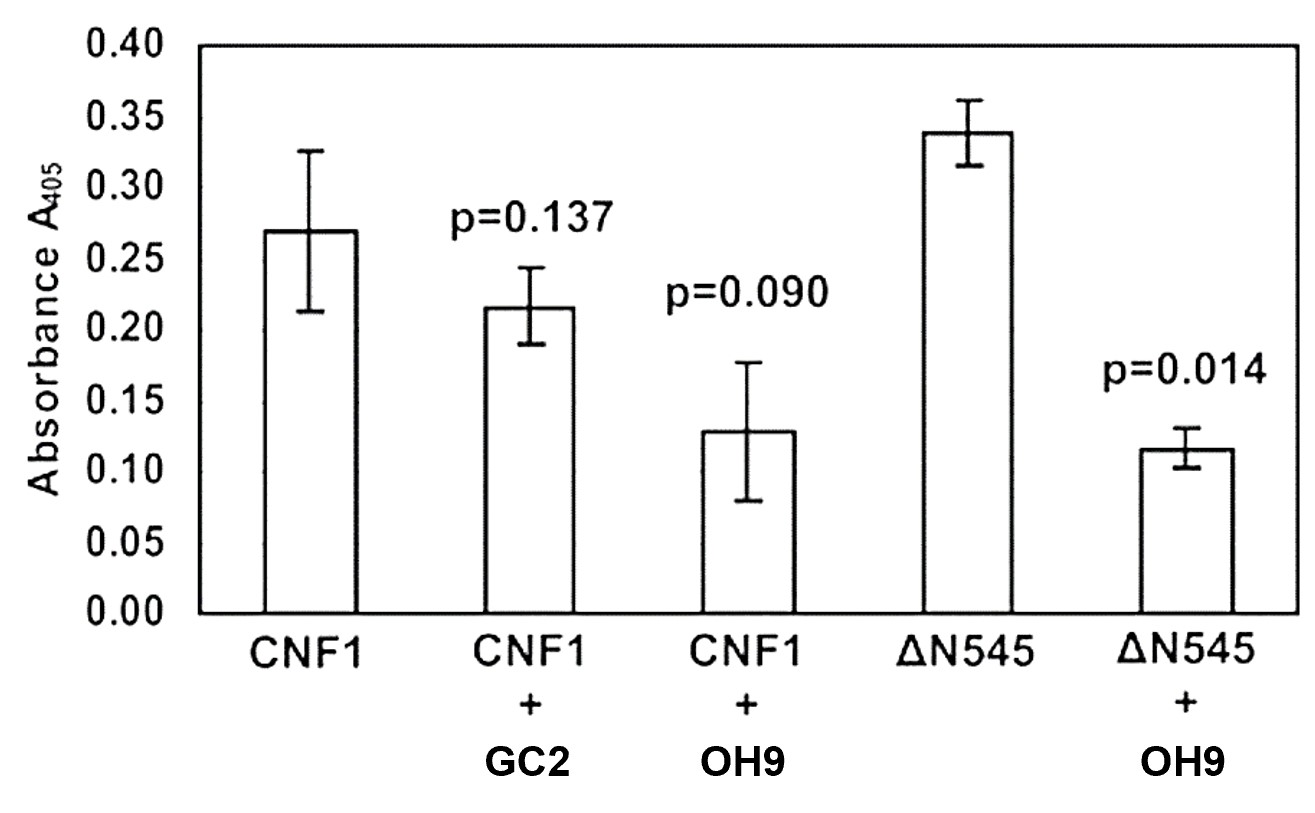 NeutraAb™ Mouse AntiE. coli CNF1 Monoclonal Antibody, clone OH9