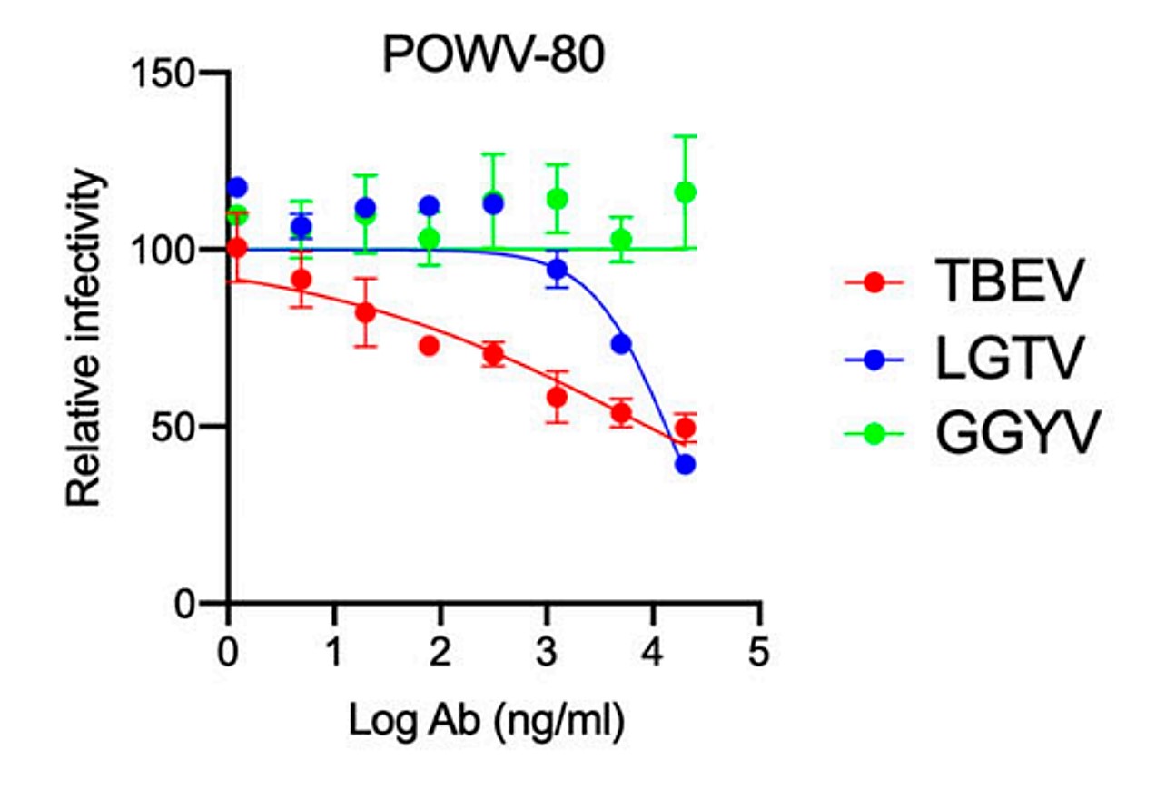 NeutraAb™ Human AntiPowassan Virus Envelope Protein DIII Monoclonal