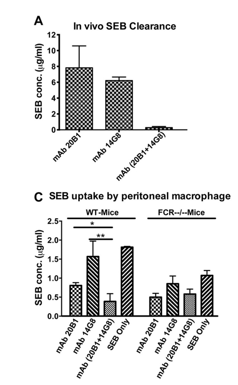 NeutraAb™ Human Anti-Staphylococcal Enterotoxin B Monoclonal Antibody ...