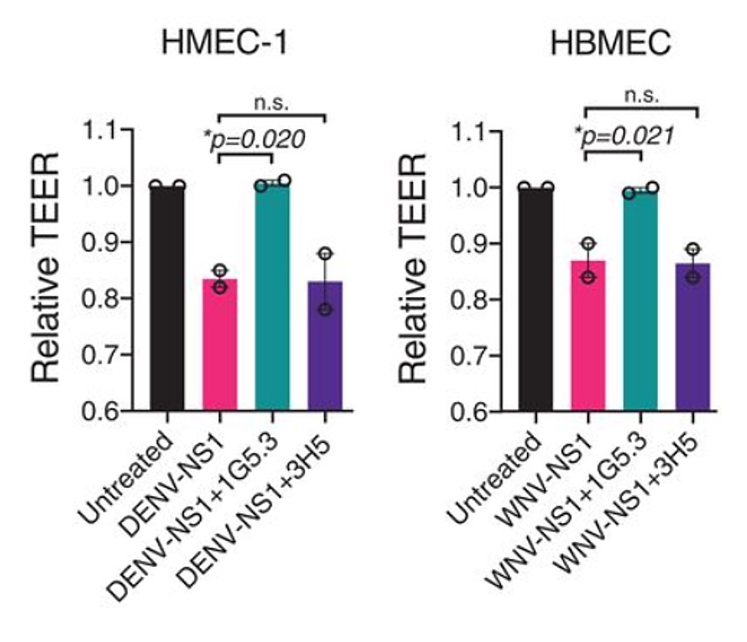 NeutraAb Human Anti West Nile Virus NS C Monoclonal Antibody Clone G Creative Diagnostics