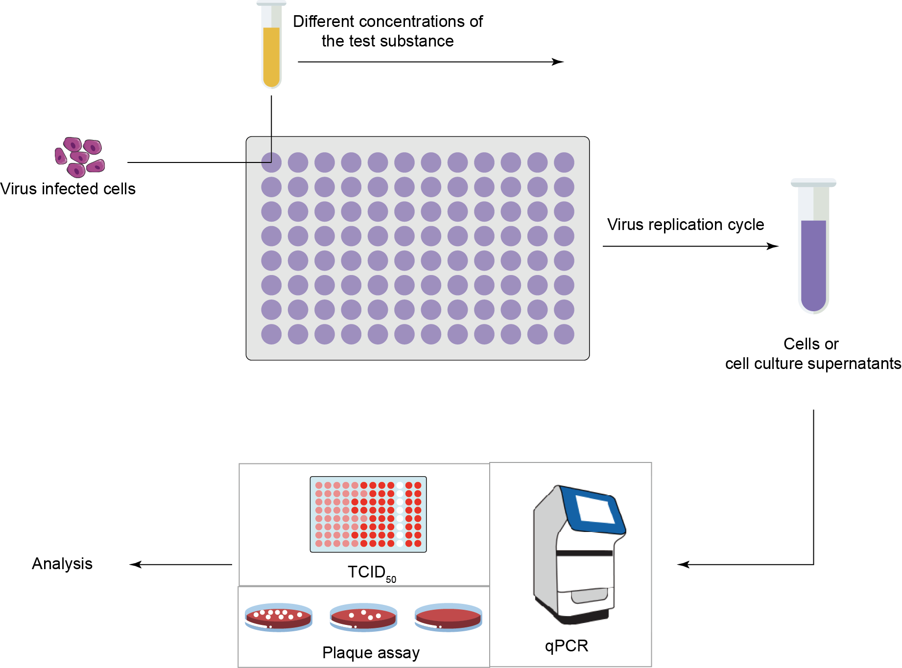 Virus Yield Reduction Analysis Creative Diagnostics