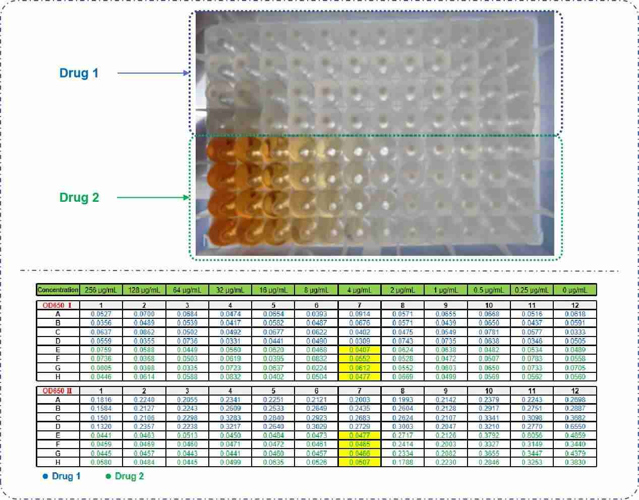 Biofilm & Antimicrobial Testing Solutions - Creative Diagnostics