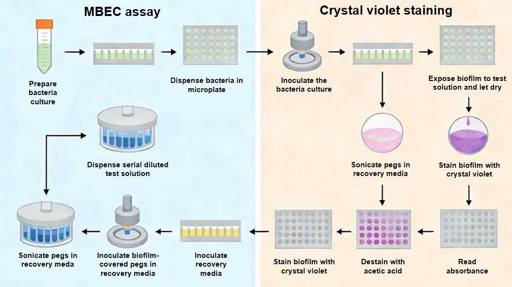 Biofilm & Antimicrobial Testing Solutions - Creative Diagnostics
