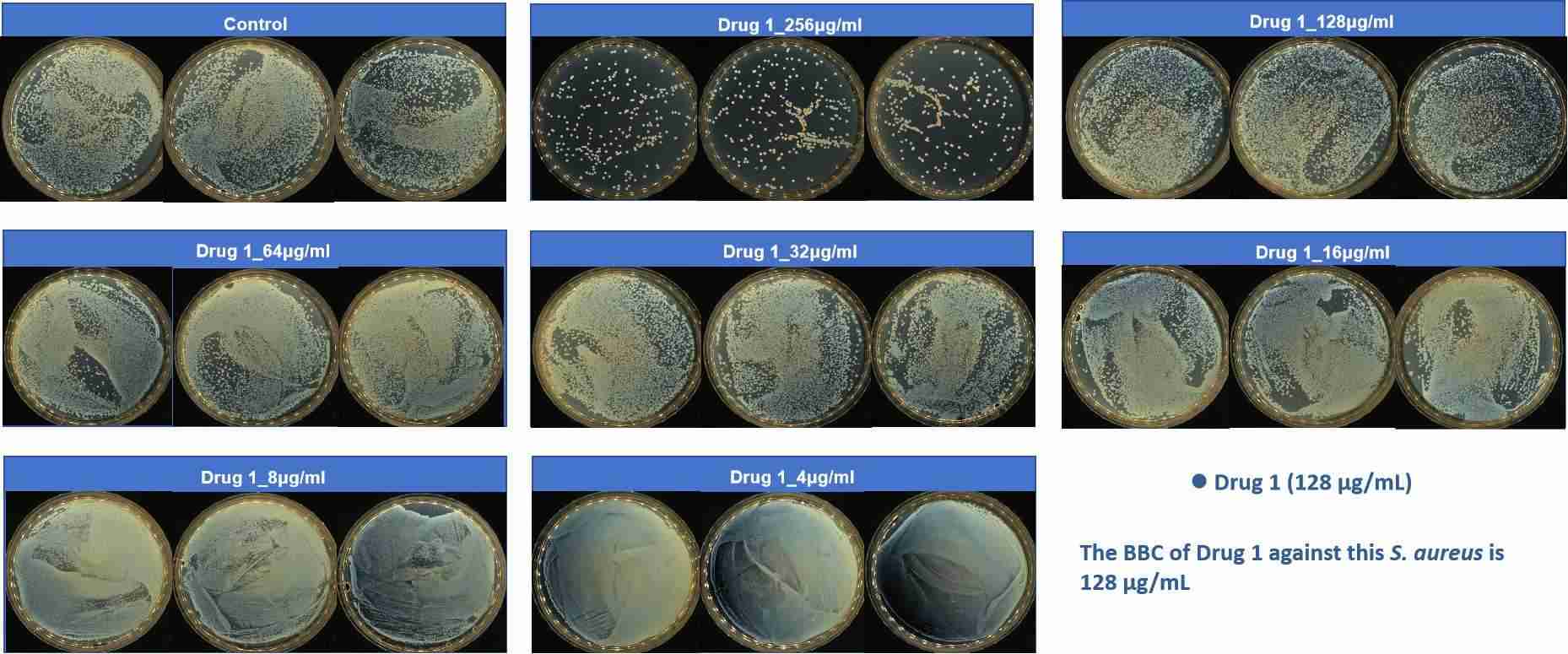 Biofilm & Antimicrobial Testing Solutions - Creative Diagnostics