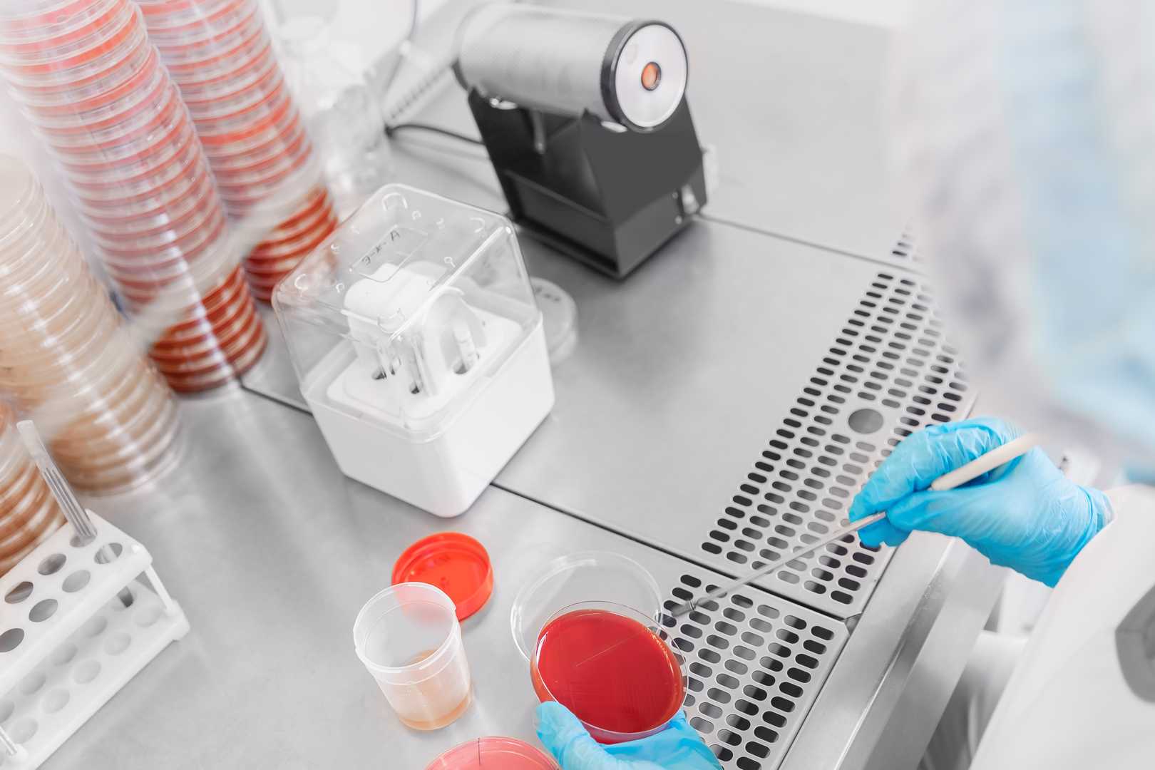 Antimicrobial Testing Services - Creative Diagnostics