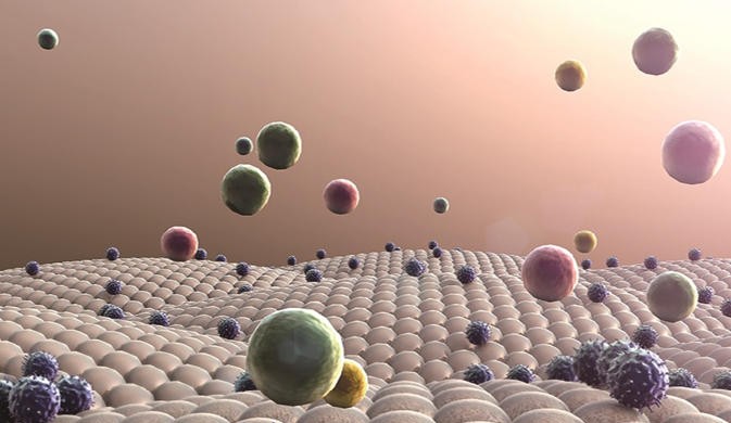 Antimicrobial Testing Services - Creative Diagnostics