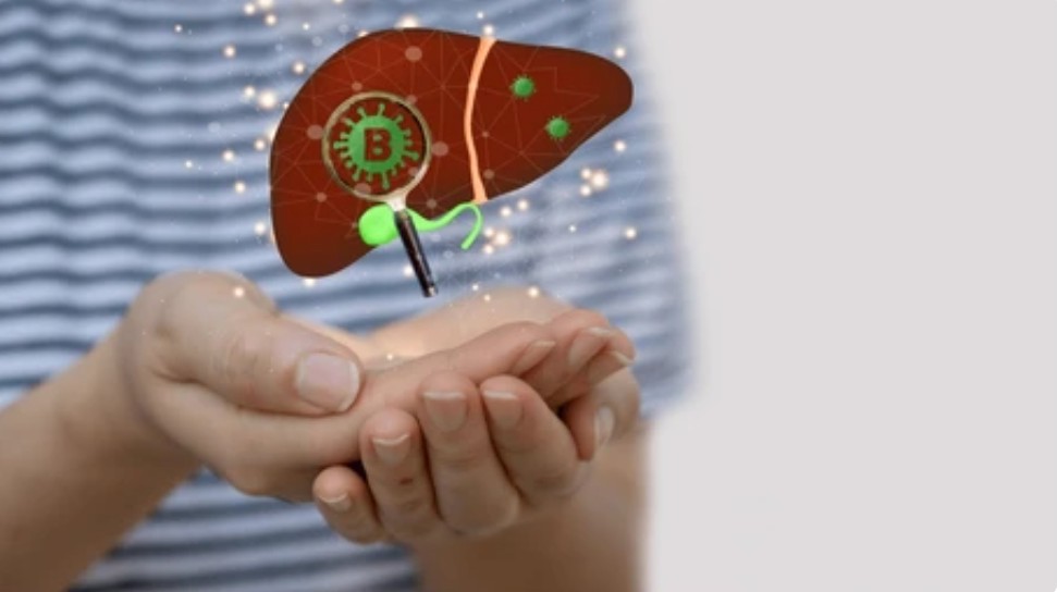 Hepatitis Virus Animal Model Creative Diagnostics