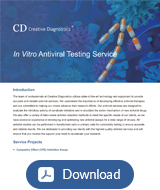 In Vitro Antiviral Testing - Creative Diagnostics